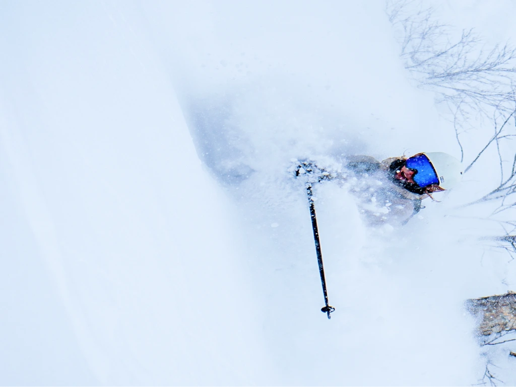 Skier emerging through deep powder beside snow-covered trees
