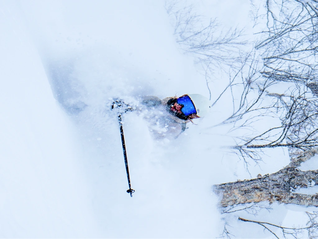 Skier emerging through deep powder beside snow-covered trees